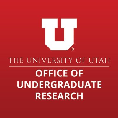 undergraduate research program