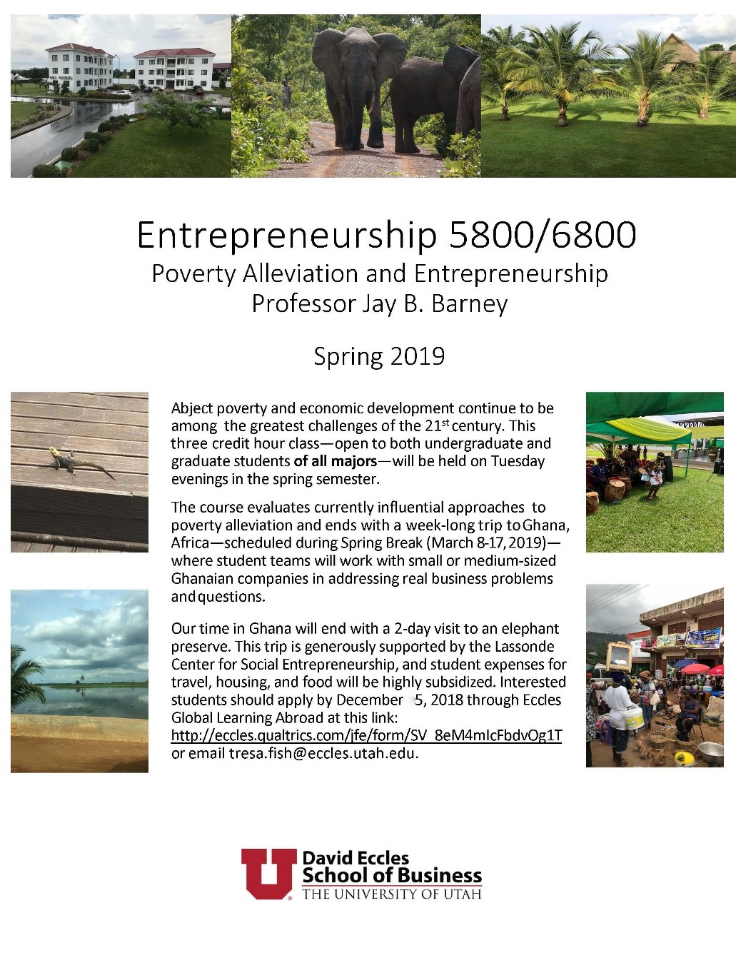 entrpreneurship 5800